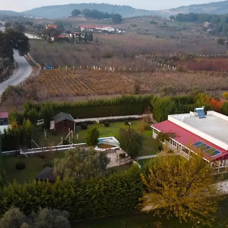 L'ombelico Di Selçuk